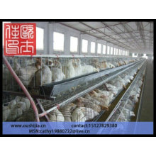 Chicken Cage for poultry farm( factory price )